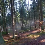 度假居 Blockhaus Bayerischer Wald *