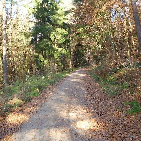Blockhaus Bayerischer Wald