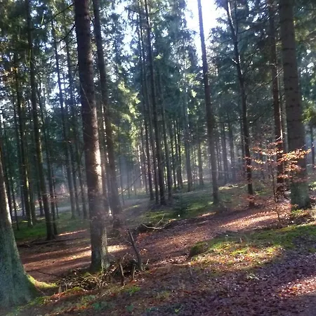 Holiday home Blockhaus Bayerischer Wald *