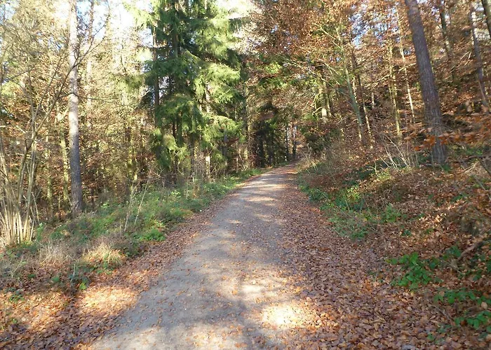 Blockhaus Bayerischer Wald