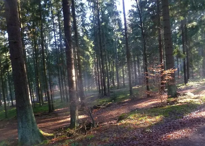 펜션 Blockhaus Bayerischer Wald *